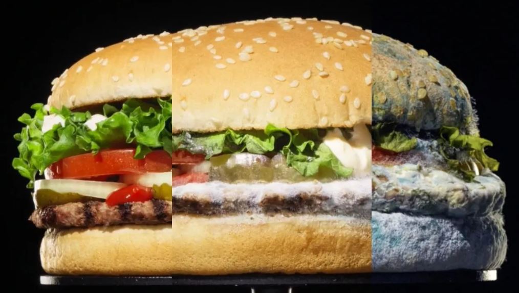 Burger King's 'Moundy Whopper campaign